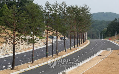 강릉에 조성된 사임당로(路)