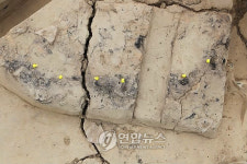 복숭아씨가 박힌 단야로
