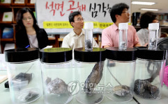 4대강 사업 현장 석재에서 석면 검출