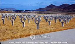 유엔기념공원자판기 | 56년전 부산 유엔기념공원