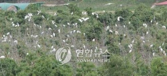 백로야 놀자..울산 태화강 생태교실