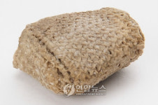 문익점보다 800년 빠른 백제 면직물
