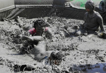 머드탕에서 뒹굴고