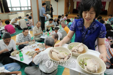우리 동내 어르신 삼계탕 드세요!
