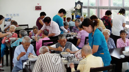 <카메라뉴스> 삼계탕 드시고 힘 내세요