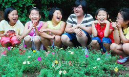  학교 곳곳에 채송화 만발