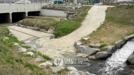 당현천 콘크리트 하상