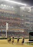 서울경마공원 야간경마축제