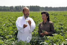 한상렬 목사, 흥남농장 감자밭 방문