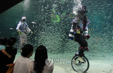 정어리와 함께 서커스