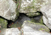 한여름 폭염 속 밀양 얼음골엔 찬바람이 씽씽