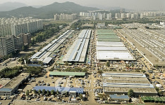 서울지역 수산물 도매시장 안전성 오케이