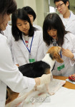 강아지 진료
