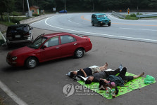 대관령은 열대야 없어요