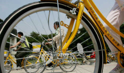 울산 남구 양심자전거 2주만에 69% 분실