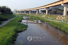 김해 시가지 중심에 생태하천