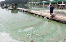악취 심각 경기 용인 신갈저수지