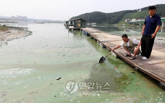 악취 심각 경기 용인 신갈저수지