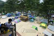 울산 주전가족휴양지 발디딜 틈없이 인기