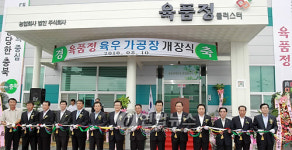 청원에 육우 전문가공장 개장