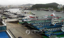 태풍 뎬무 전남 남해안 상륙..광양 백운산 258㎜