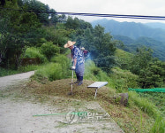 지리산 자락 항일투사 공동무덤 방치