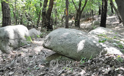 울산 문수산의 돌고래 바위