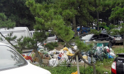 몰려드는 피서객에 슬로시티 증도 몸살