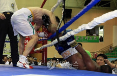 레슬링이 아닙니다