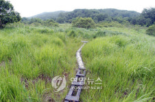 울산 정족산 무제치늪 영상으로 본다