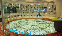 제천 국제한방바이오엑스포 발효과학관