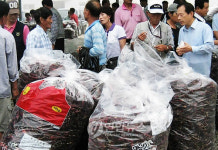 진안군 마이산 고추시장 개장