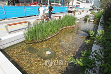 복원된 중학천 청계천-종로구청 구간