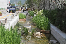 복원된 중학천 청계천-종로구청 구간