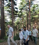 대관령 금강 소나무 숲에 매료됐어요