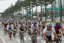 금강 소나무 길 달려요