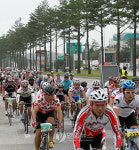 금강 소나무 길 달려요