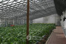 김정일 위원장이 방문한 농업박람회장