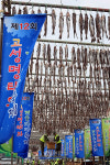 추석 앞두고 냉동명태 1만t 푼다