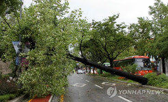 서울 태풍경보…출근길 초속 20ｍ 강풍
