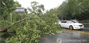 인천 곳곳 가로수전도.유리창 파손..출근길 큰불편