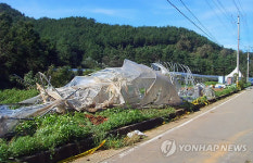 태풍 곤파스가 휩쓴 안산 대부도 섬마을
