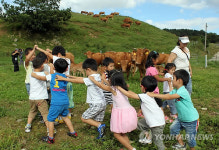 풀밭에서 한우와 놀아요