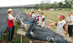 수원시, 화성시 태풍피해 복구 지원