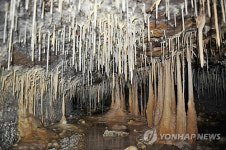 제주 남지미동굴의 비경