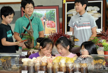 초등학생들 방과후 녹색교실