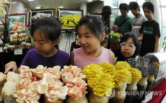 초등학생들 방과후 녹색교실