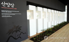 약초탐구관에 진열된 산양삼