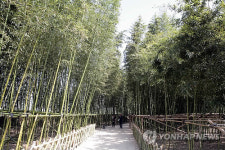 울산 태화강대공원 실개천 다리에 이름 생겼다