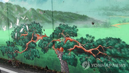 솔거의 부활?..벽화에 새들 부딪혀 죽어